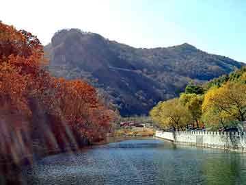 新澳天天开奖资料大全旅游团，塑胶颗粒多少钱一吨